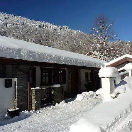 Haus Zur Eule Appartement Todtnau Kamer foto