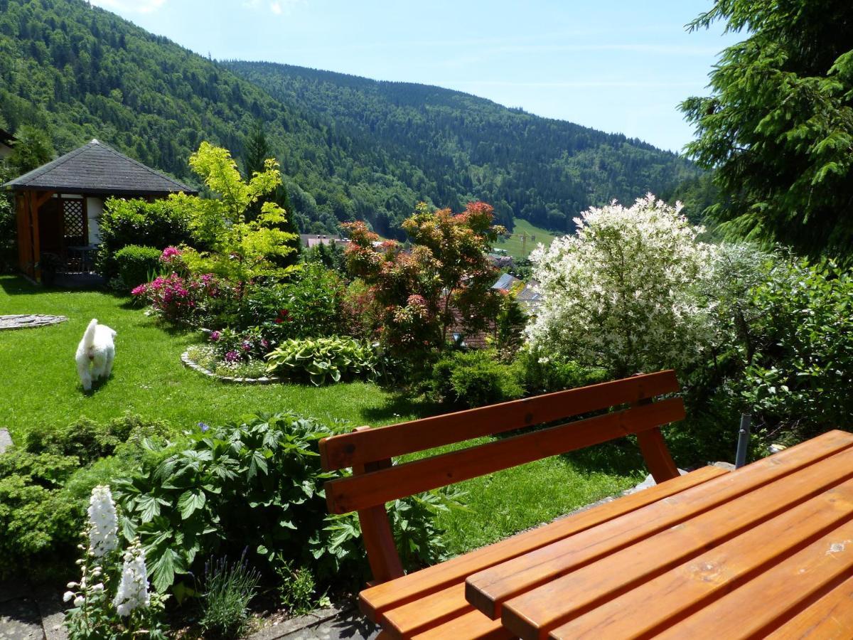 Haus Zur Eule Apartment